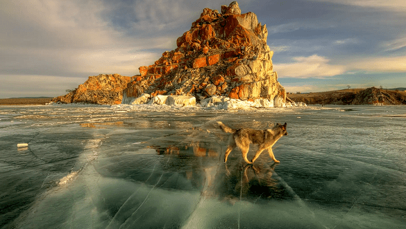 火币不再姓李，币安不安，赞丽大户抛售，维权中...