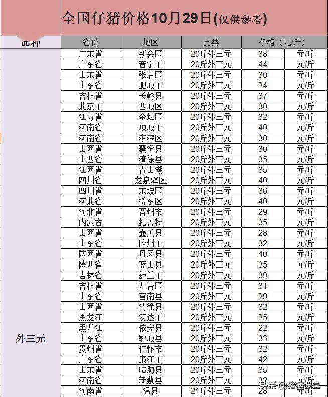 今日仔猪价格｜全国各地20-40斤仔猪价格行情<strong></p>
<p>比特币今日价格行情</strong>，金仔猪行情继续
