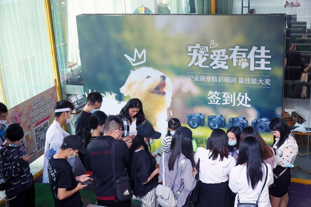 宠爱有佳 佳能EOS重庆站拍萌宠创意大片