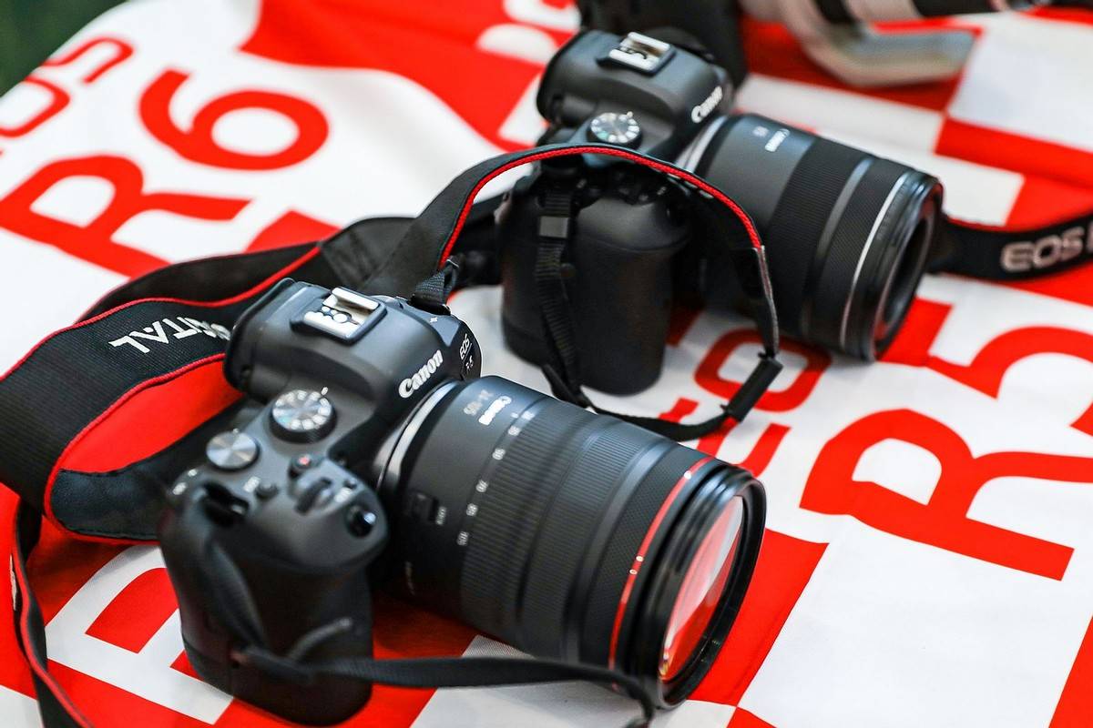 邂逅宠物小情人 佳能EOS深圳站摄影讲座开讲<strong></p>
<p>eos行情</strong>！