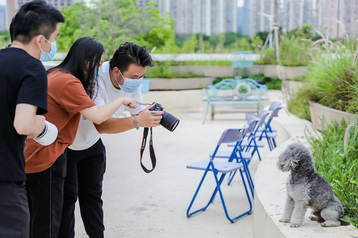 邂逅宠物小情人 佳能EOS深圳站摄影讲座开讲<strong></p>
<p>eos行情</strong>！