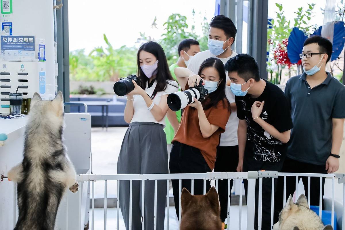 邂逅宠物小情人 佳能EOS深圳站摄影讲座开讲<strong></p>
<p>eos行情</strong>！