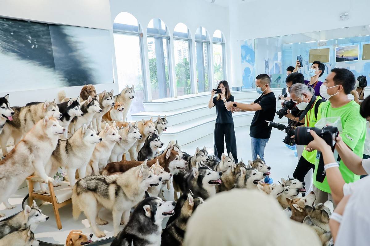 邂逅宠物小情人 佳能EOS深圳站摄影讲座开讲<strong></p>
<p>eos行情</strong>！