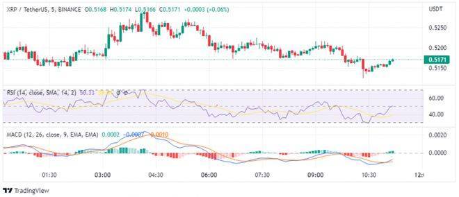 瑞波币 XRP 价格预测 – 上涨 5% 至 0.51 美元