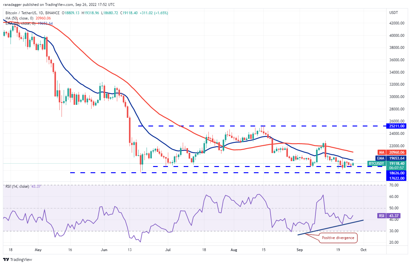 价格分析 :BTC、ETH、BNB、XRP、ADA、SOL、DOGE、DOT、MATIC、SHIB