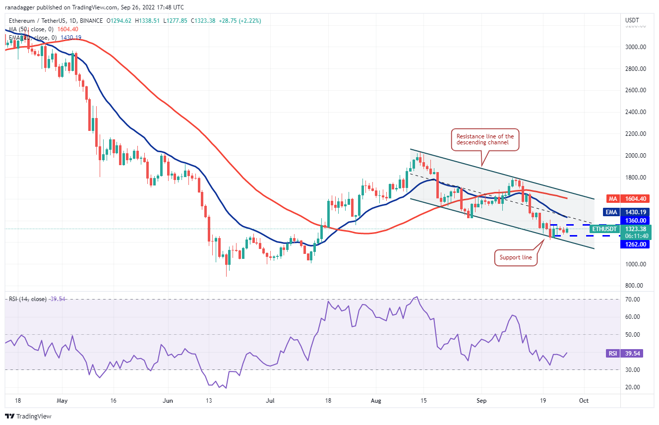 价格分析 :BTC、ETH、BNB、XRP、ADA、SOL、DOGE、DOT、MATIC、SHIB