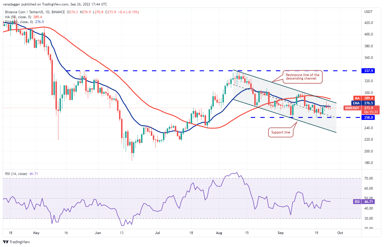 价格分析 :BTC、ETH、BNB、XRP、ADA、SOL、DOGE、DOT、MATIC、SHIB