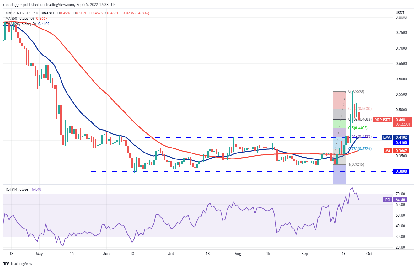 价格分析 :BTC、ETH、BNB、XRP、ADA、SOL、DOGE、DOT、MATIC、SHIB