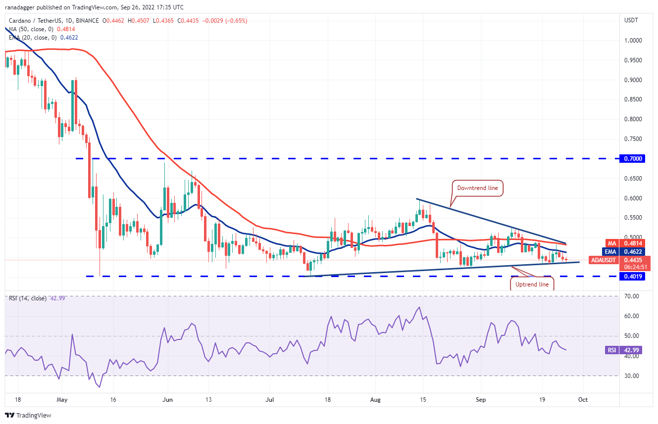 价格分析 :BTC、ETH、BNB、XRP、ADA、SOL、DOGE、DOT、MATIC、SHIB