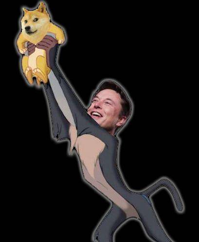 狗狗币的路为啥越走越歪<strong></p>
<p>狗狗币行情</strong>？为你讲述狗狗币的前世今生