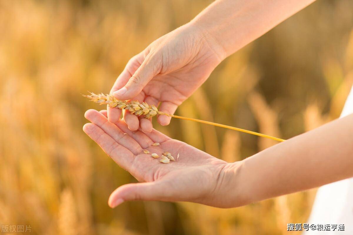 今日小麦价格行情<strong></p>
<p>比特币价格今日行情</strong>！8月29日