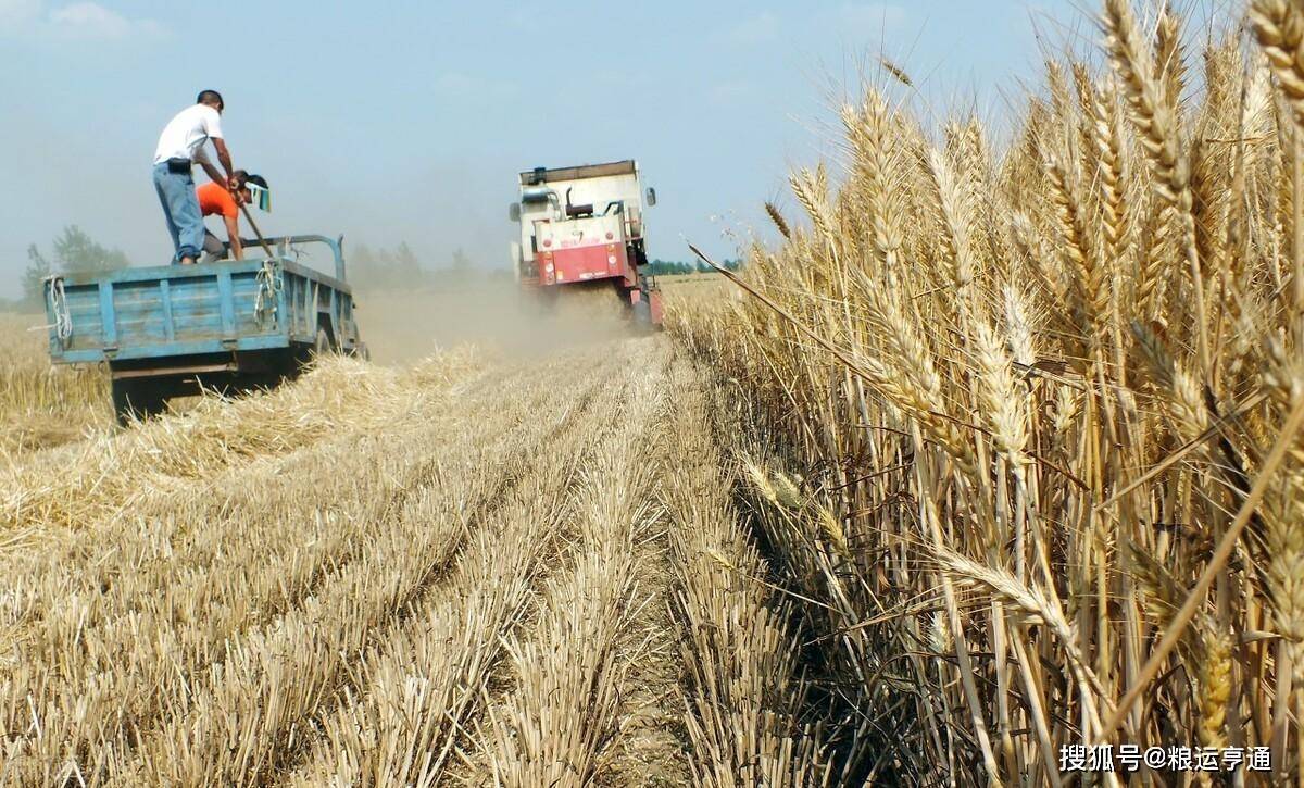 今日小麦价格行情<strong></p>
<p>比特币价格今日行情</strong>！8月30日