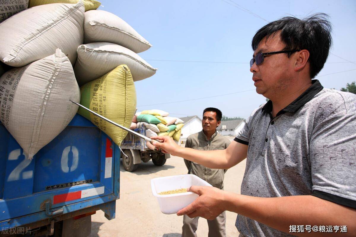 今日小麦价格行情<strong></p>
<p>比特币价格今日行情</strong>！8月28日