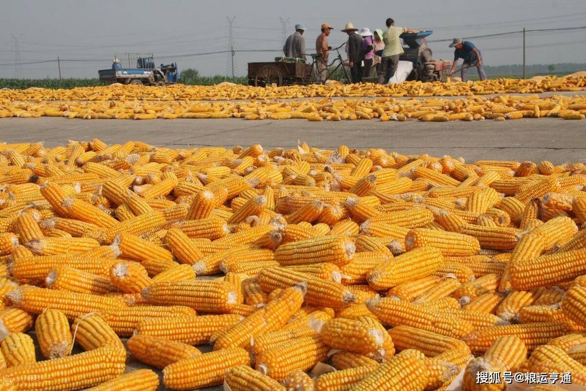 今日玉米价格行情<strong></p>
<p>比特币价格今日行情</strong>!8月29日