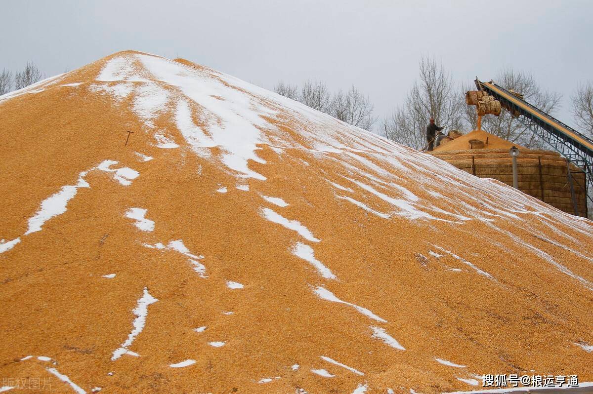 今日玉米价格行情<strong></p>
<p>比特币价格今日行情</strong>!8月29日