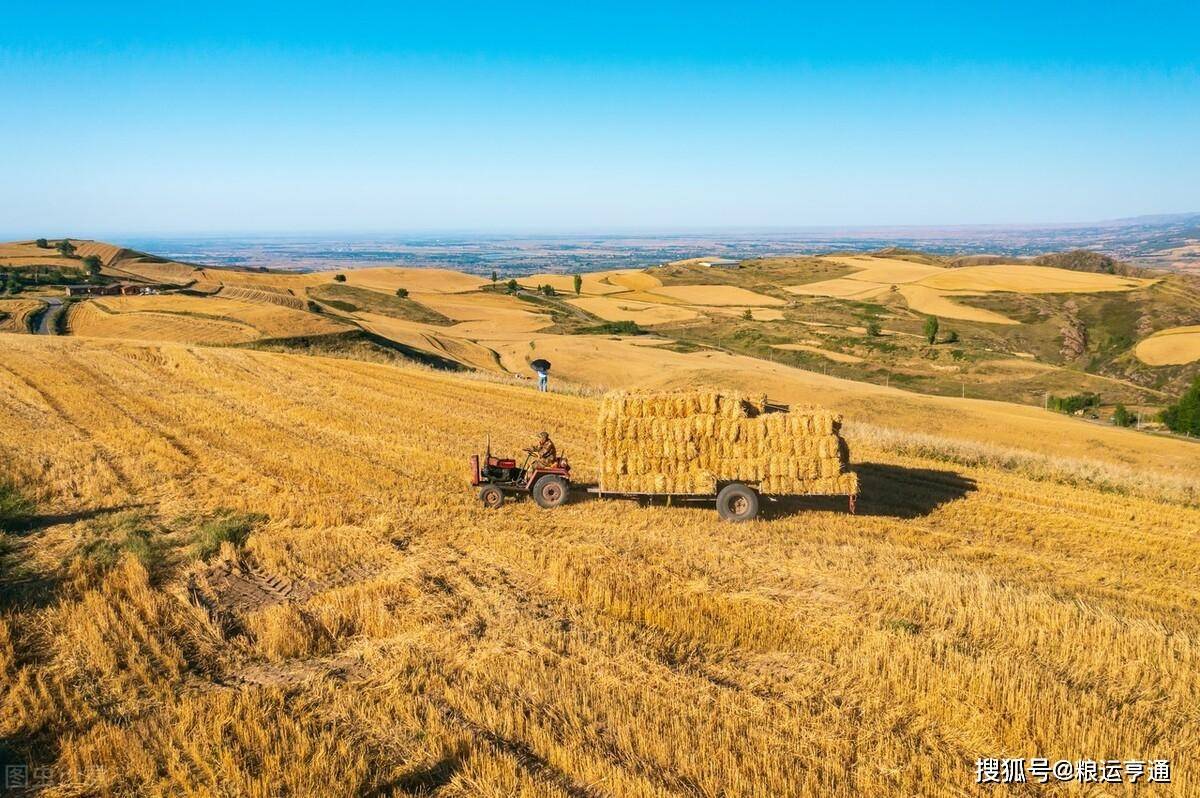 今日小麦价格<strong></p>
<p>比特币价格今日行情</strong>！8月20日最新行情