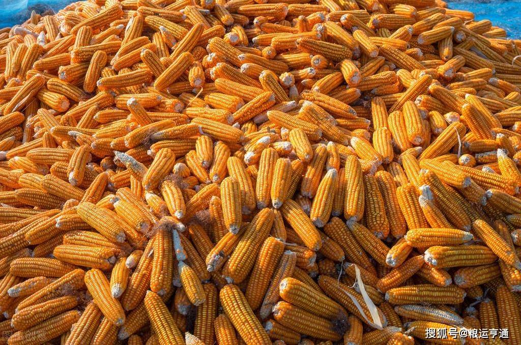 今日玉米价格<strong></p>
<p>比特币价格今日行情</strong>!8月21日最新行情