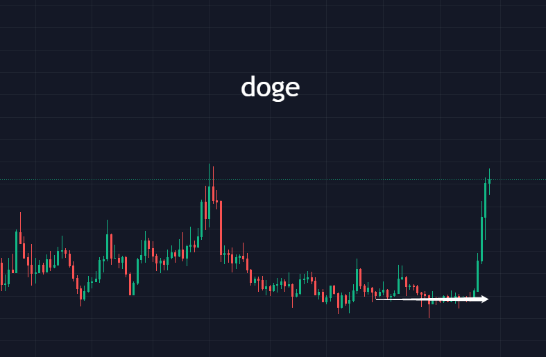 比特币20000以上因时而动<strong></p>
<p>doge币种</strong>,狗狗币引领?