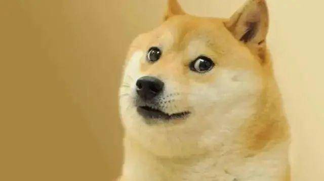 狗狗币是啥<strong></p>
<p>比特币官方网站</strong>?为啥马斯克喜欢它?为啥在Twitter被收购后5天翻倍?