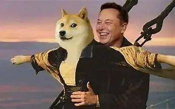 狗狗币是啥<strong></p>
<p>比特币官方网站</strong>?为啥马斯克喜欢它?为啥在Twitter被收购后5天翻倍?