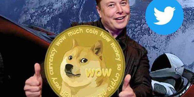 前50大Doge鲸鱼一天增持4.8亿枚、拥64%代币！狗狗币大涨3成