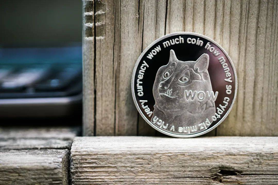 狗狗币跌到“狗带”<strong></p>
<p>狗狗币今日价格</strong>，炒家状告马斯克索赔1.7万亿元，特斯拉、space X也成被告