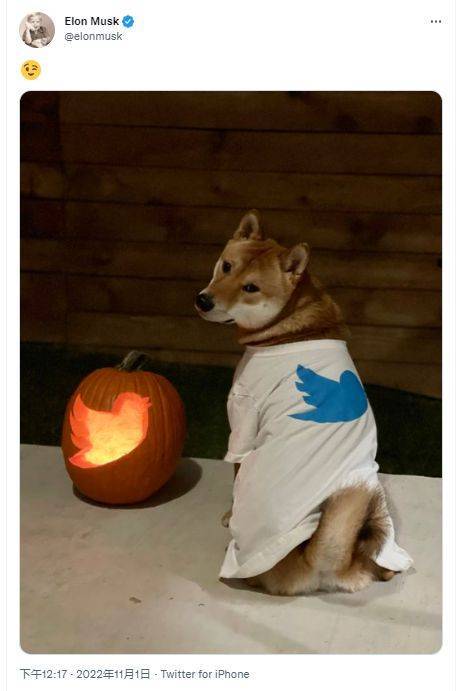 DOGE 在推特上希望上涨 25%<strong></p>
<p>狗狗币今日价格</strong>，后续能保持嘛？