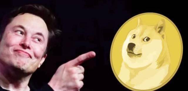 资本游戏：从比特币到狗狗币<strong></p>
<p>狗狗币今日价格</strong>，一场场裹着技术外壳的“庞氏骗局”