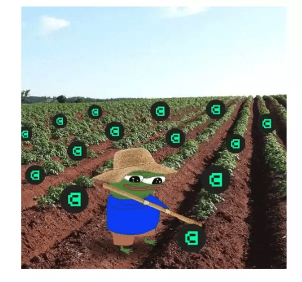 新公链Canto生态：用稳定币进行高年化流动性挖矿