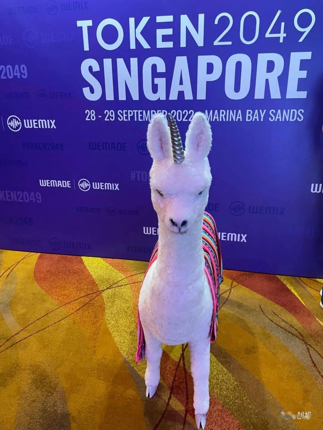 新加坡政府警告币圈：别这么激动