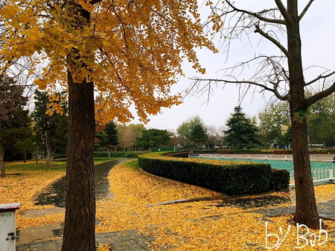 人民币LP松动：开始接受10年基金期限