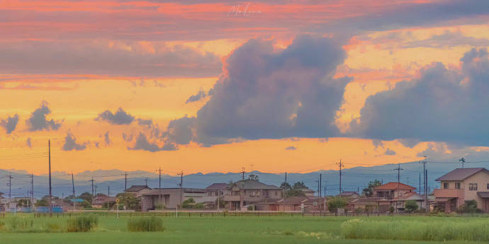 股票期权如何开户？