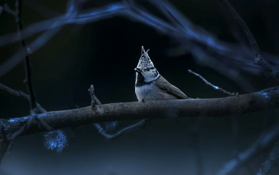 期权和股票有哪些区别<strong></p>
<p>军工股票有哪些</strong>?股票期权是什么?