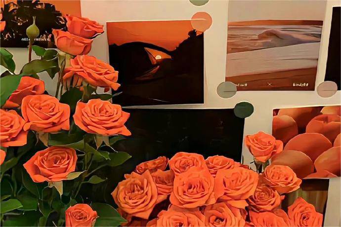 上证50股票期权怎么开户？