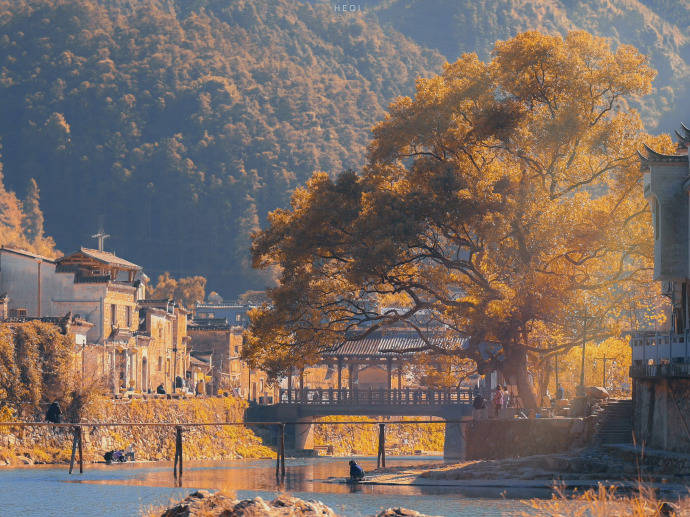 个股期权有什么样的开户条件？