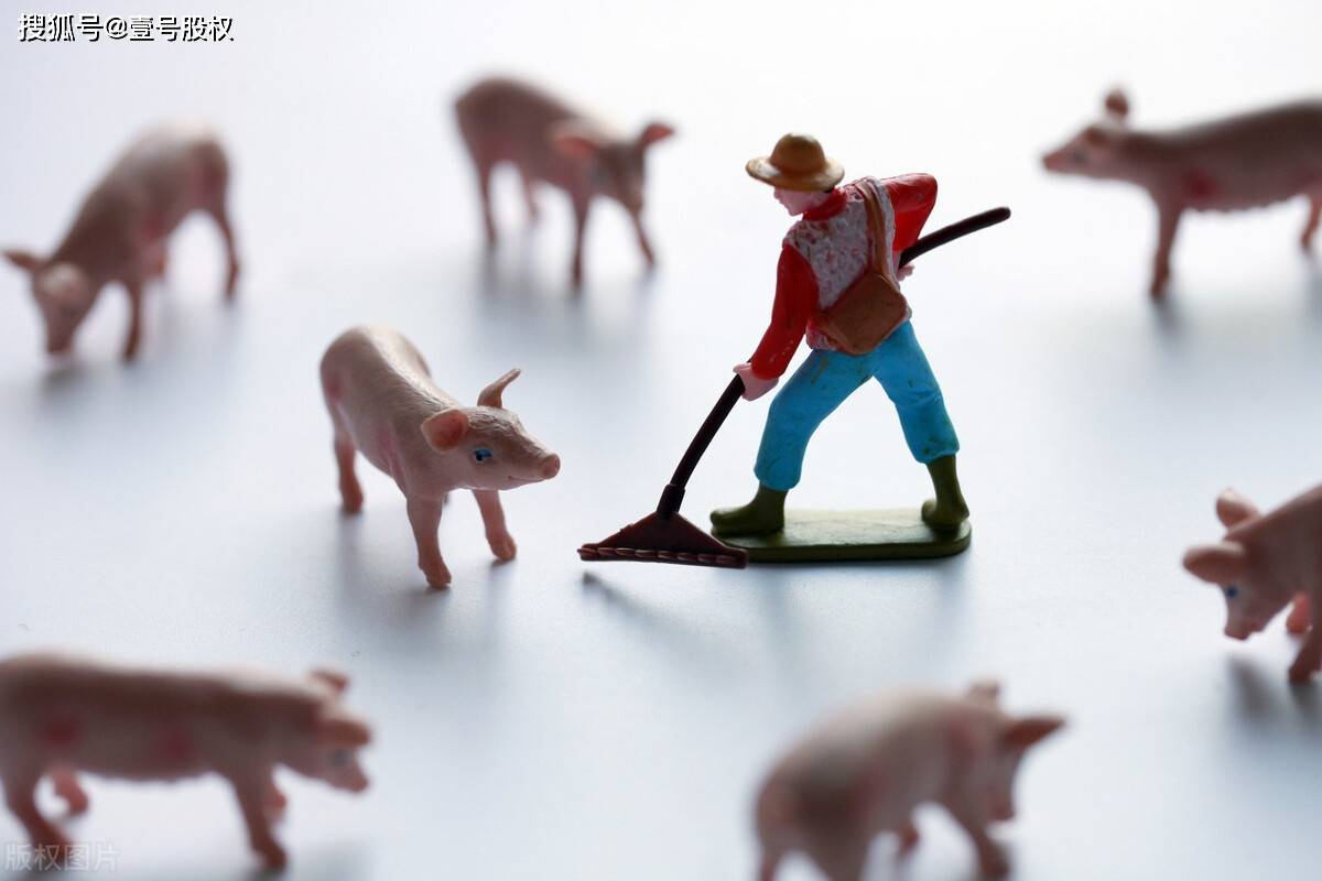 人均百万！温氏股份抛出37亿股票激励计划<strong></p>
<p>低市盈率股票</strong>，考核要求低不低？