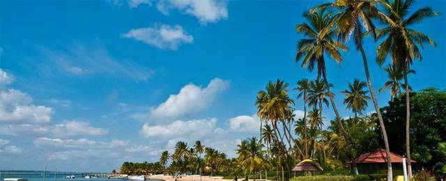 石油大国安哥拉<strong></p>
<p>中国石油股票走势</strong>，用石油偿还中国贷款，现在发展如何？