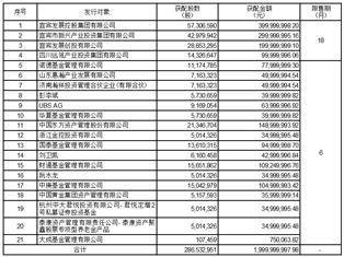 宜宾天原集团股份有限公司 非公开发行股票上市公告书（摘要）