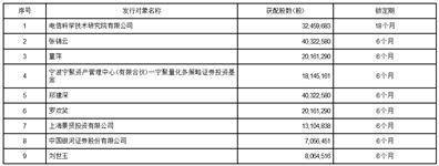 大唐高鸿网络股份有限公司 关于非公开发行股票限售股份上市流通的提示性公告