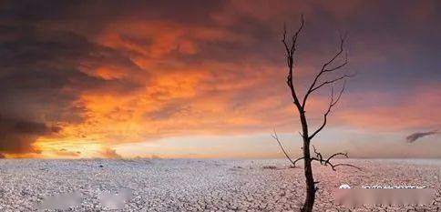 财富管理：理财师的工作是否会被ChatGPT所取代<strong></p>
<p>理财管理</strong>？