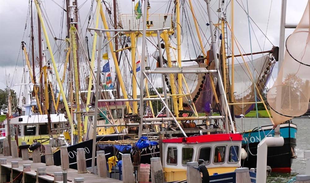 揭秘“性都”荷兰：性交易合法化背后<strong></p>
<p>交易性金融资产</strong>，乱象丛生，比想象中夸张