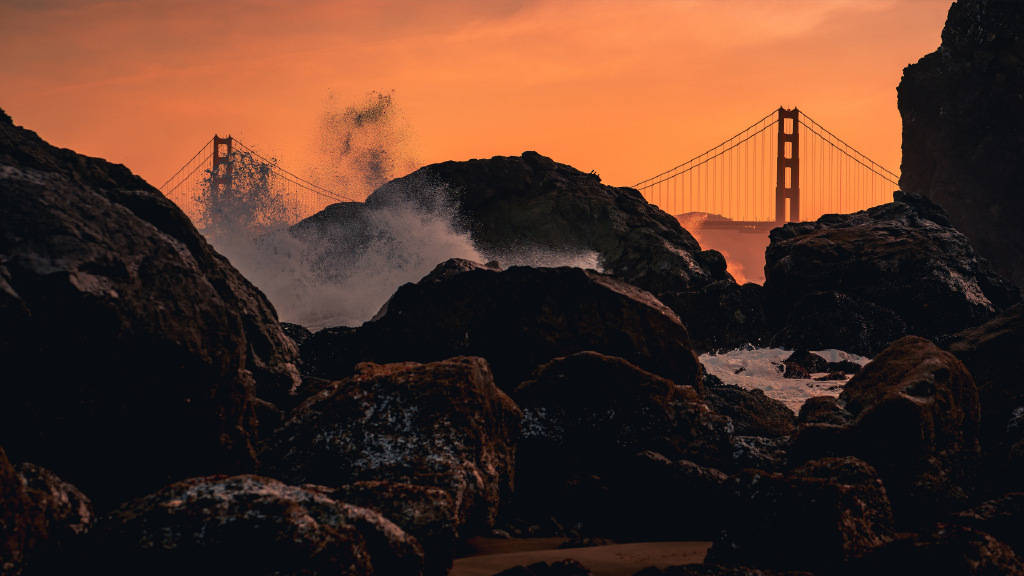 期权是什么？它有哪些特点？参与期权交易的方式