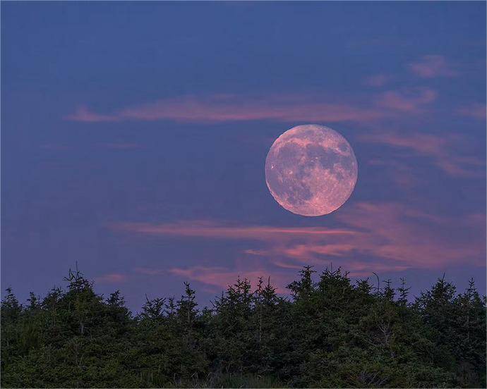 50ETF期权是什么,有哪些交易规则<strong></p>
<p>国债etf交易规则</strong>？