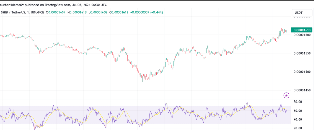 SHIB与狗狗币引领Memecoin意外爆发<strong></p>
<p>coincoin币币网</strong>，98%山寨币迎来历史高峰