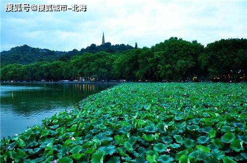 华东旅游3日游多少钱一个人<strong></p>
<p>共生币一个多少钱</strong>？华东旅游3天大概多少人民币