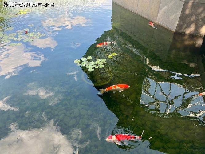 华东旅游4日游多少钱一个人<strong></p>
<p>共生币一个多少钱</strong>?华东旅游4天大概多少人民币