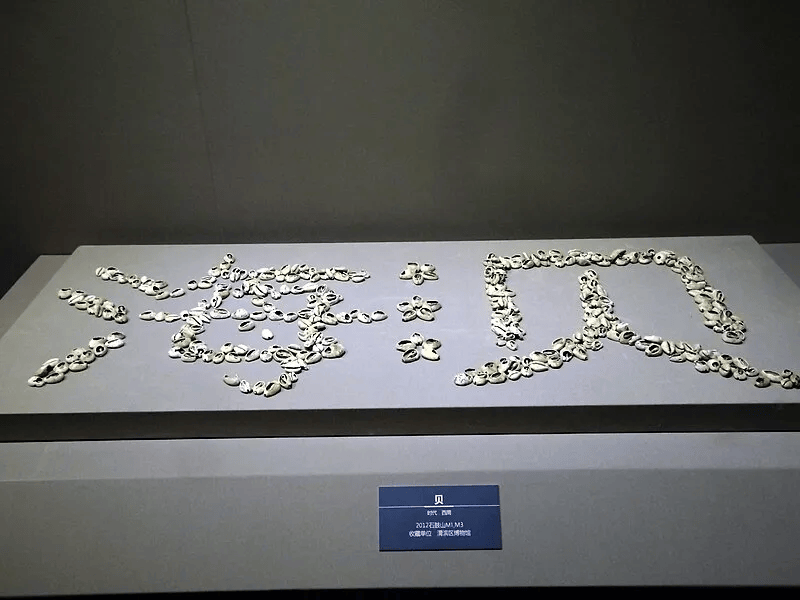 古代用贝壳做货币<strong></p>
<p>电子货币是不是货币</strong>，是不是捧把蚬子扇贝蛤蜊穿越回去就成富翁了？