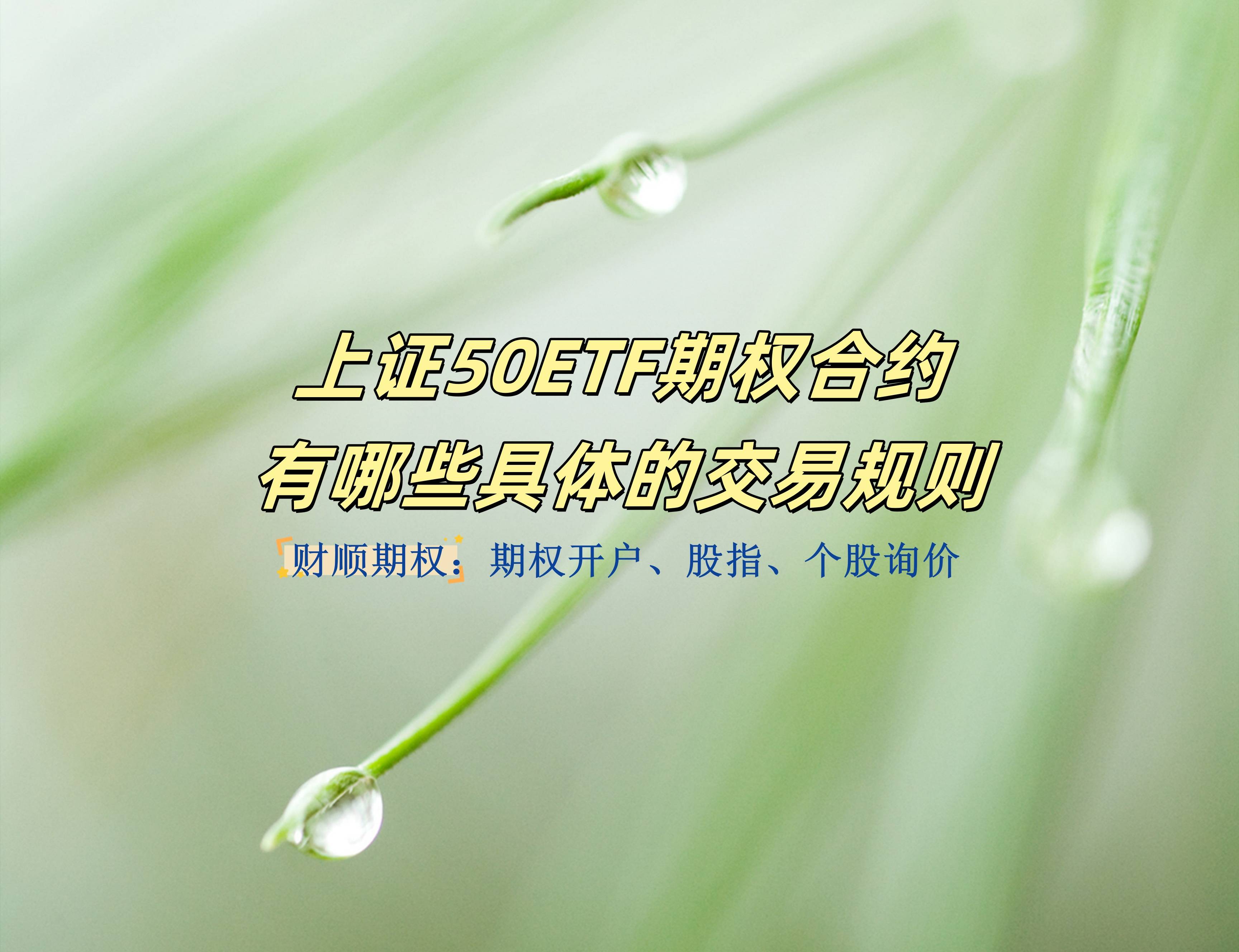【知识科普】上证50ETF期权合约有哪些具体的交易规则