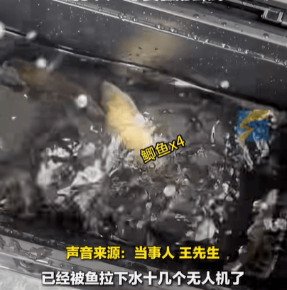 男子在家操控无人机钓鱼<strong></p>
<p>每天送色币的网址</strong>，当天就钓上十几条，当事人：不要轻易尝试，已被鱼拉下水十几个无人机