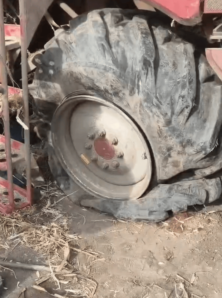 黑龙江农民收地疑遭恶意投放角铁<strong></p>
<p>分离交易可转换债券</strong>，自发筹款找“凶手”？当地回应